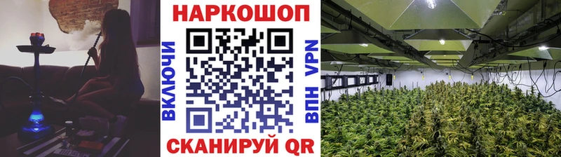 МАРИХУАНА Поворино