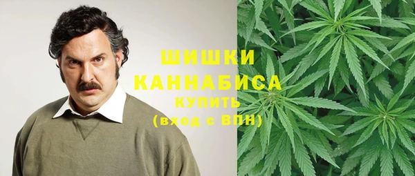 винт Бородино